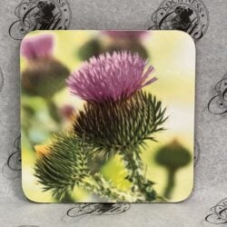 Coaster - Thistles Coaster - Scottish Thistle