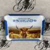 Magnet - Glass Highland Coo Scotland