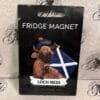 magnet