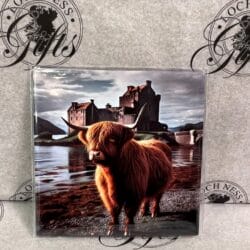 Magnet - Majestic Highland Cow at Eilean Donan Castle