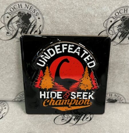 Magnet - Undefeated Hide and Seek Champion