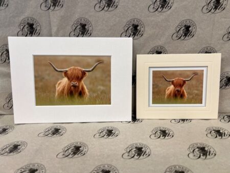 Fine Art Prints - Highlanders HC001