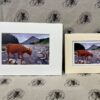 Fine Art Prints - Highlanders HC007