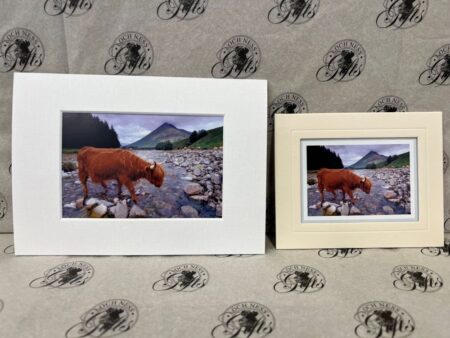 Fine Art Prints - Highlanders HC007