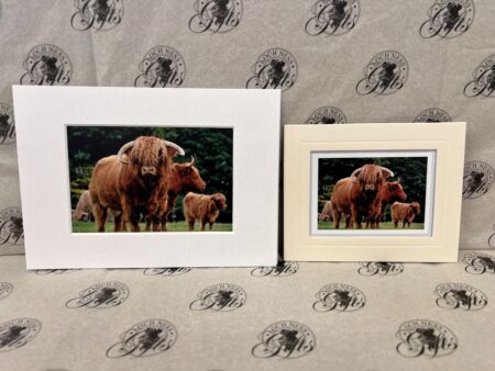 Fine Art Prints - Highlanders HC010 Fine Art Prints - Highlanders HC010
