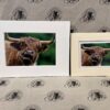 Fine Art Prints - Highlanders HC014 Fine Art Prints - Highlanders HC014