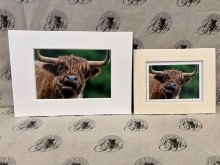 Fine Art Prints - Highlanders HC014 Fine Art Prints - Highlanders HC014