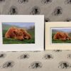 Fine Art Prints - Highlanders HC019 Fine Art Prints - Highlanders HC019