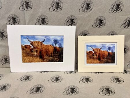 Fine Art Prints - Highlanders HC020 Fine Art Prints - Highlanders HC020