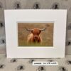 Fine Art Prints - Highlanders HC001