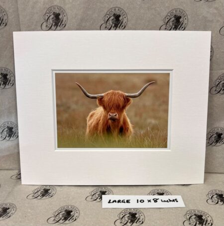 Fine Art Prints - Highlanders HC001