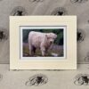 Fine Print Art - Highlanders hc004 small Fine Art Prints - Highlanders HC004
