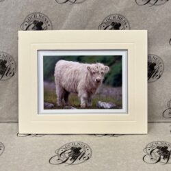 Fine Art Prints - Highlanders HC004