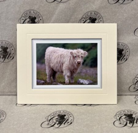 Fine Print Art - Highlanders hc004 small Fine Art Prints - Highlanders HC004