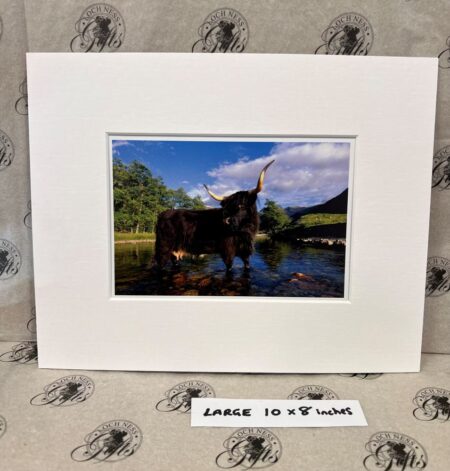 Fine Art Prints - Highlanders HC006