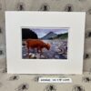 Fine Art Prints - Highlanders HC007