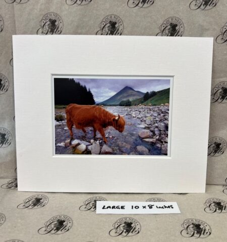 Fine Art Prints - Highlanders HC007