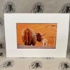 Fine Print Art - Highlanders hc009 medium Fine Art Prints - Highlanders HC009