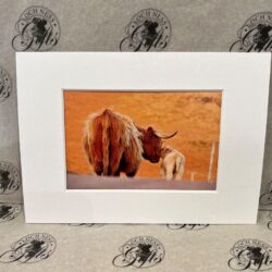 Fine Art Prints - Highlanders HC009