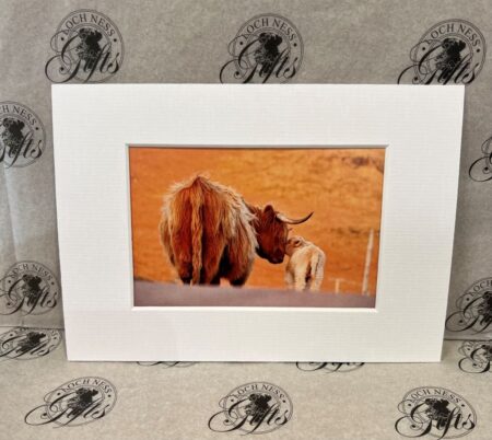 Fine Print Art - Highlanders hc009 medium Fine Art Prints - Highlanders HC009