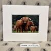Fine Print Art - Highlanders hc010 large Fine Art Prints - Highlanders HC010