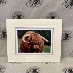 Fine Art Prints - Highlanders HC011