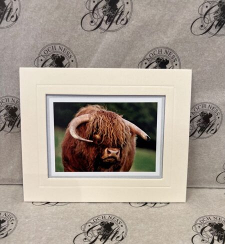 Fine Art Prints - Highlanders HC011