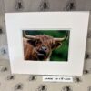 Fine Print Art - Highlanders hc014 large Fine Art Prints - Highlanders HC014