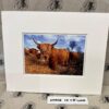 Fine Print Art - Highlanders hc020 large Fine Art Prints - Highlanders HC020