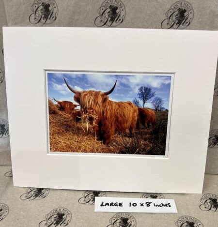 Fine Print Art - Highlanders hc020 large Fine Art Prints - Highlanders HC020